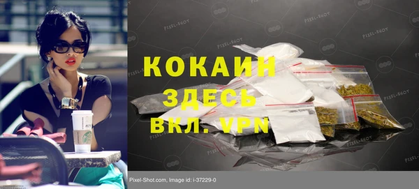 сатива Абинск