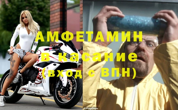сатива Абинск