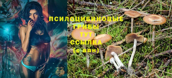 МДПВ Алексин