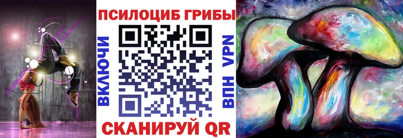 даркнет телеграм  Сухиничи  Псилоцибиновые грибы GOLDEN TEACHER 
